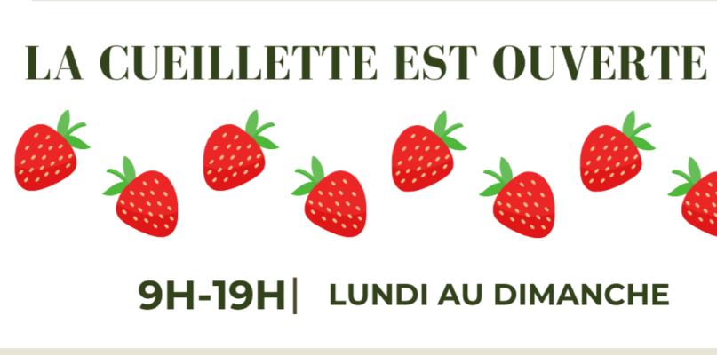 Les horaires de saison