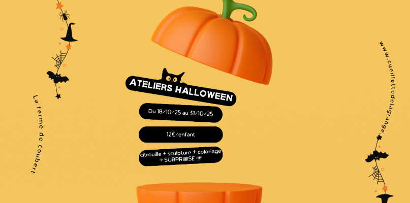 citrouilles
