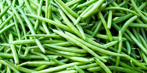 Haricots verts