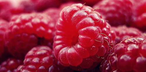 framboises